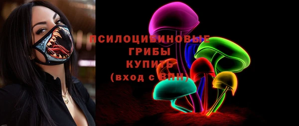 амф Бугульма