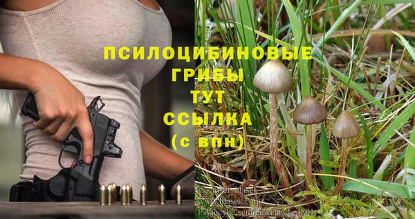 mix Бородино